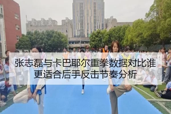 张志磊与卡巴耶尔重拳数据对比谁更适合后手反击节奏分析